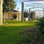 Abelleira