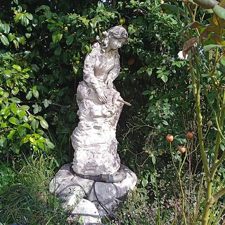 Abelleira Ponteareas