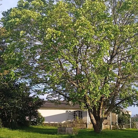 Abelleira *