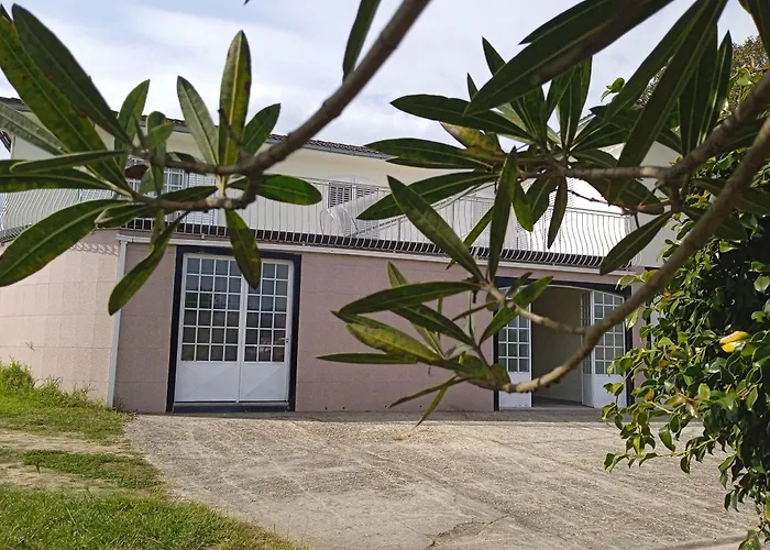 Abelleira Ponteareas